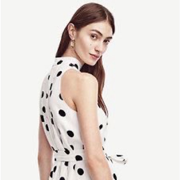 Ann Taylor Belted Dot Dress - Picture 9 of 12